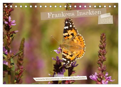 Frankens Insekten (Tischkalender 2026 DIN A5 quer), CALVENDO Monatskalender