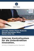Internes Kontrollsystem für die Unterdirektion Innovation