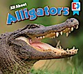 All About Alligators