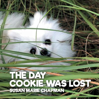 The Day Cookie Was Lost