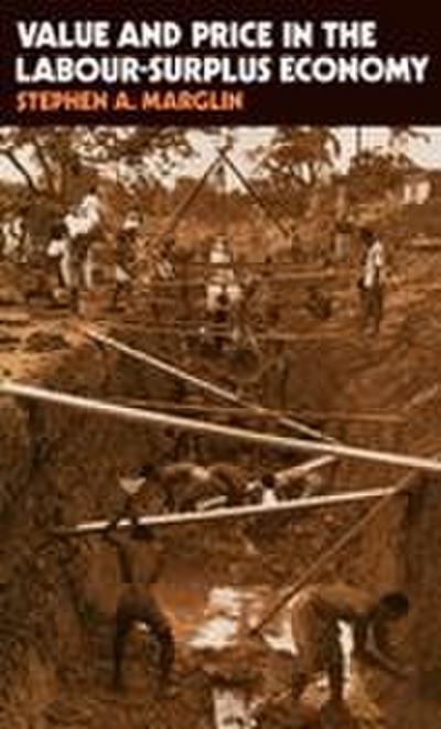 Value & Price in the Labour Surplus Economy