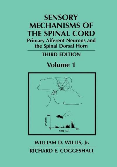 Sensory Mechanisms of the Spinal Cord