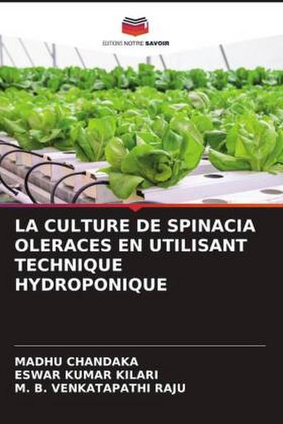 LA CULTURE DE SPINACIA OLERACES EN UTILISANT TECHNIQUE HYDROPONIQUE