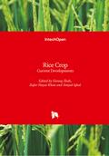 Rice Crop
