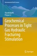 Geochemical Processes in Tight Gas Hydraulic Fracturing Stimulation