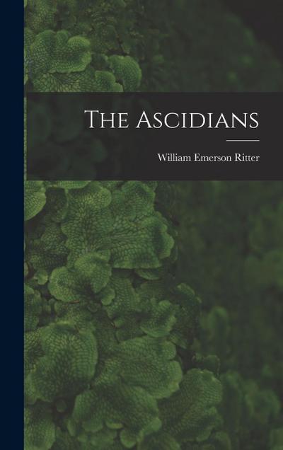The Ascidians