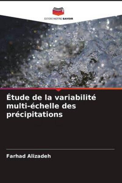 Étude de la variabilité multi-échelle des précipitations