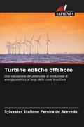 Turbine eoliche offshore