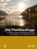 Die Pfahlbaufrage