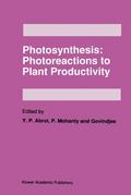 Photosynthesis: Photoreactions to Plant Productivi