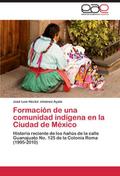 Formación de una comunidad indígena en la Ciudad de México