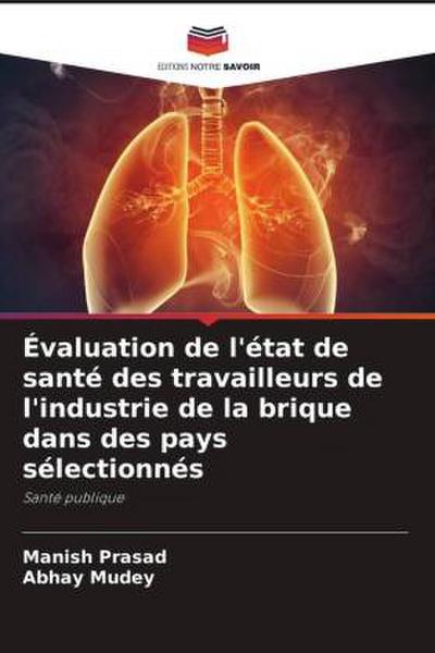 Évaluation de l’état de santé des travailleurs de l’industrie de la brique dans des pays sélectionnés