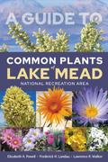 Guide to Common Plants of Lake Mead National Recreation Area
