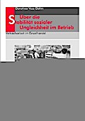 Über die Stabilität sozialer Ungleichheit im Betri