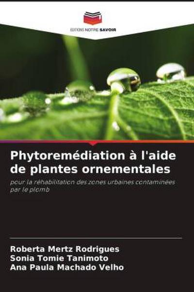 Phytoremédiation à l’aide de plantes ornementales