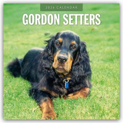 Gordon Setters - Gordon Setter 2026 - 16-Monatskalender