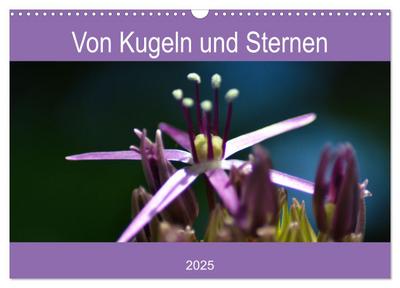 Von Kugeln und Sternen (Wandkalender 2025 DIN A3 quer), CALVENDO Monatskalender