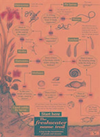 The Freshwater name trail
