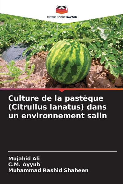 Culture de la pastèque (Citrullus lanatus) dans un environnement salin