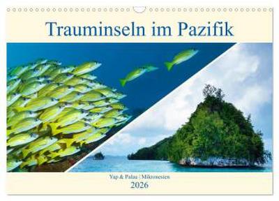 Mikronesien: Yap und Palau (Wandkalender 2026 DIN A3 quer), CALVENDO Monatskalender