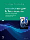 Abschlusskurs Sonografie der Bewegungsorgane