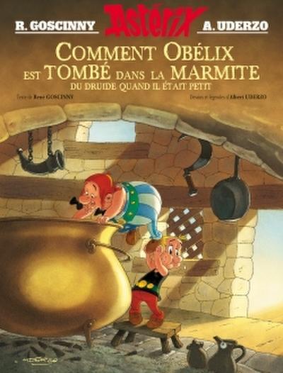Astérix - Comment Obélix est tombé dans la marmite du druide quand il était petit