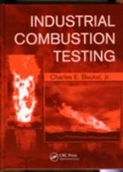 Industrial Combustion Testing