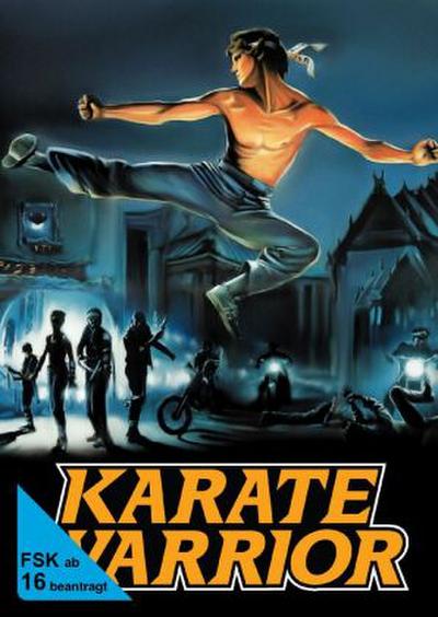 Karate Warrior, 1 DVD