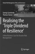 Realising the ’Triple Dividend of Resilience’