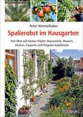 Spalierobst im Hausgarten