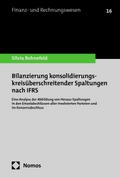Bilanzierung konsolidierungskreisüberschreitender Spaltungen nach IFRS von Silvia Bohnefeld | Ebook