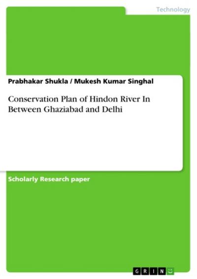 Conservation Plan of Hindon River In Between Ghaziabad and Delhi