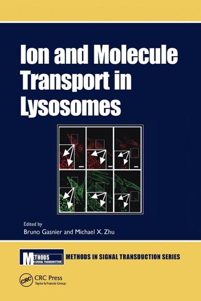 Ion and Molecule Transport in Lysosomes