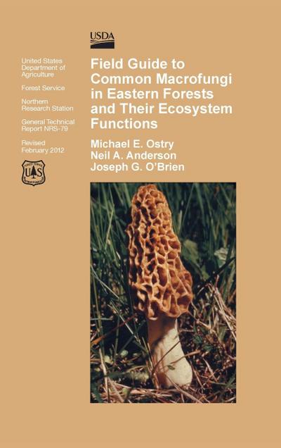 Field Guide to Common Macrofungi in Eastern Forests and Their Ecosystem Function