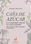 Caña de azúcar en el espléndido valle del río Cauca