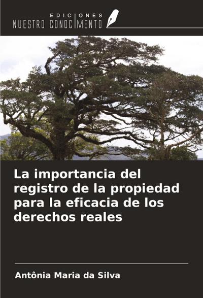 La importancia del registro de la propiedad para la eficacia de los derechos reales
