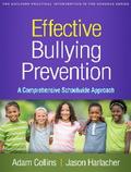 Effective Bullying Prevention