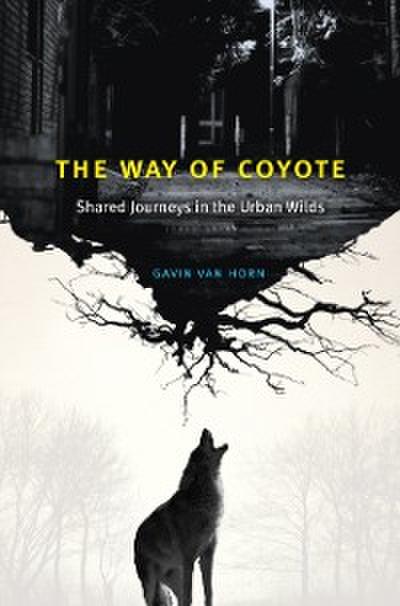 Way of Coyote