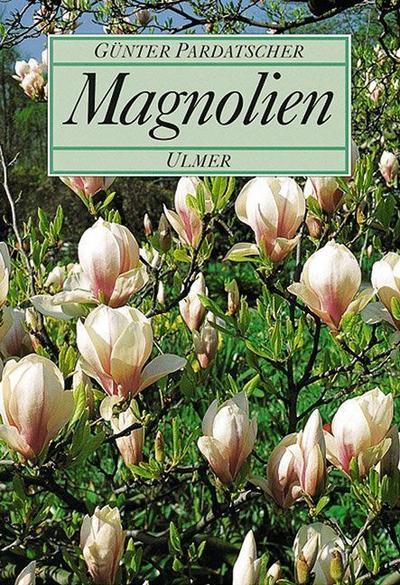 Magnolien 