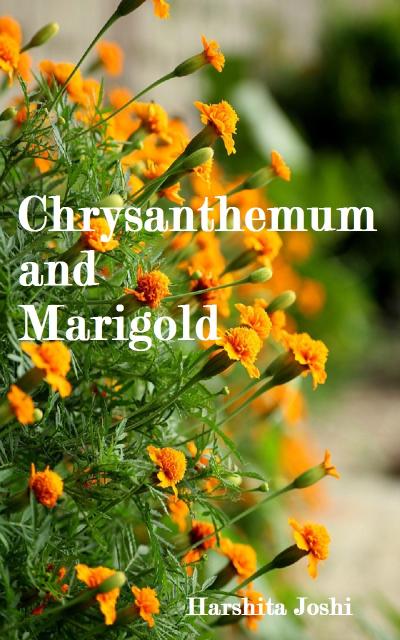 Chrysanthemum and Marigold