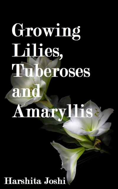 Growing Lilies, Tuberoses and Amaryllis