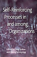 Self-Reinforcing Processes in and among Organizations