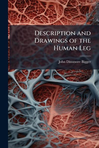 Description and Drawings of the Human Leg