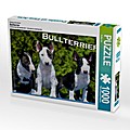 Ein Motiv aus dem Kalender Bullterrier (Puzzle)