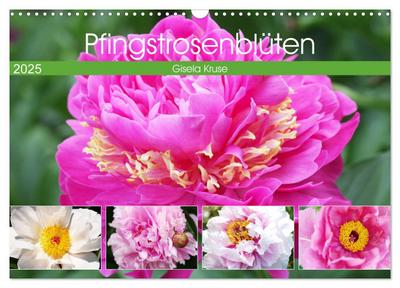 Pfingstrosenblüten (Wandkalender 2025 DIN A3 quer), CALVENDO Monatskalender