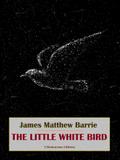 The Little White Bird