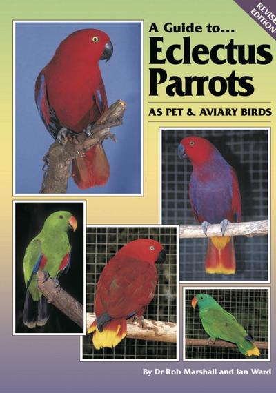 Guide to Eclectus Parrots as Pet and Aviary Birds