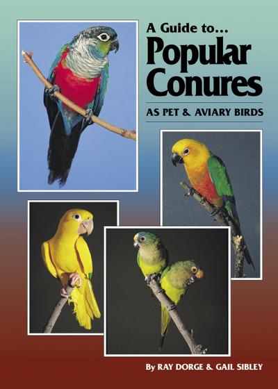 Guide to Popular Conures as Pet and Aviary Birds