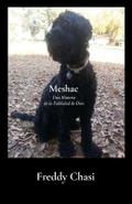 Meshac
