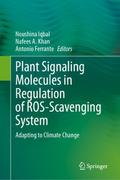 Plant Signaling Molecules in Regulation of ROS-Sca